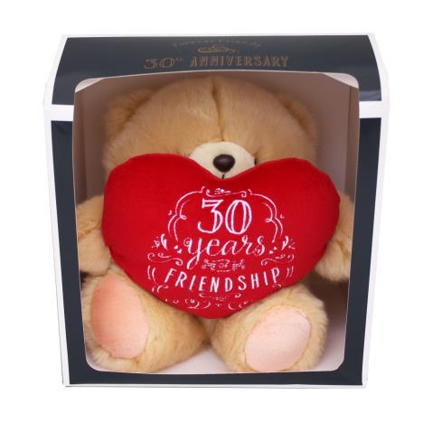 10" 30 Years Of Friendship Anniversary Boxed Forever Friends Bear 