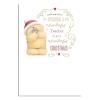 Wonderful Teacher Forever Friends Christmas Card