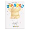 Grandad Forever Friends Father's Day Card