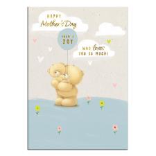 From Little Boy Forever Friends Mothers Day Card