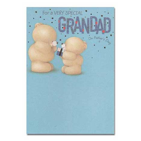 Special Grandad on Fathers Day Forever Friends Card 