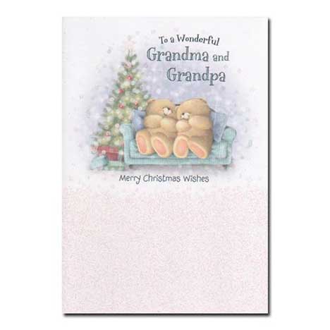 Grandma and Grandpa Forever Friends Christmas Card 