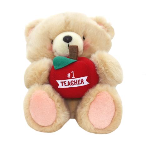 10" Teacher Thank You Forever Friends Bear 