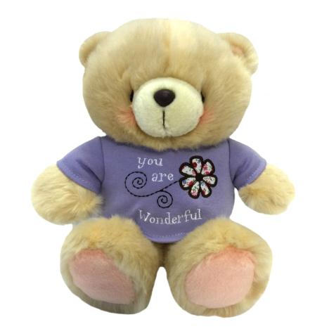 10" You are Wonderful T Shirt Forever Friends Bear 