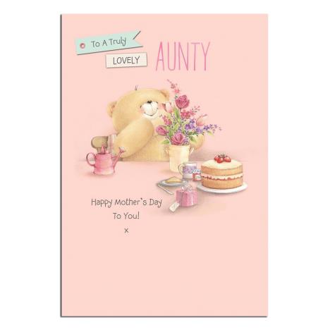 Lovely Aunty Forever Friends Mothers Day Card 