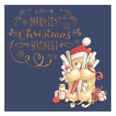 Merriest Christmas Forever Friends Christmas Card 