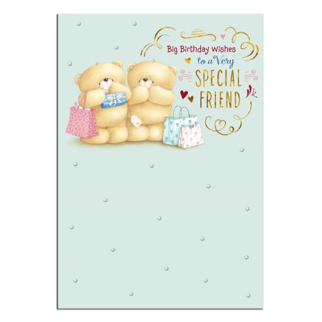 Special Friend Forever Friends Birthday Card 