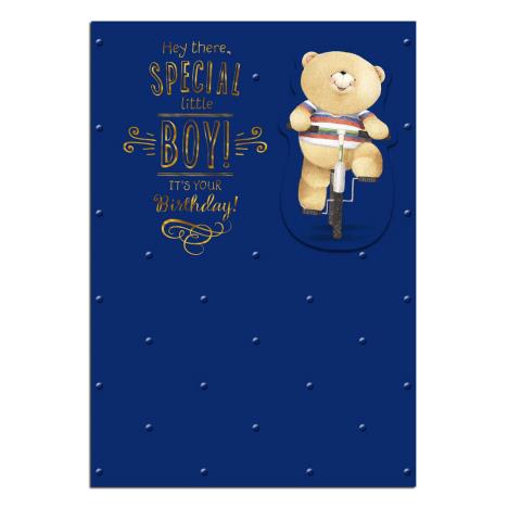 Special Little Boy Forever Friends Birthday Card 