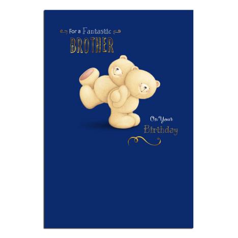 Fantastic Brother Forever Friends Birthday Card  