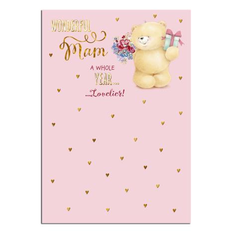 Wonderful Mam Forever Friends Birthday Card 