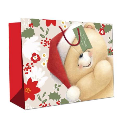 Large Forever Friends Christmas Gift Bag 