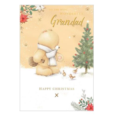 Wonderful Grandad Forever Friends Christmas Card 