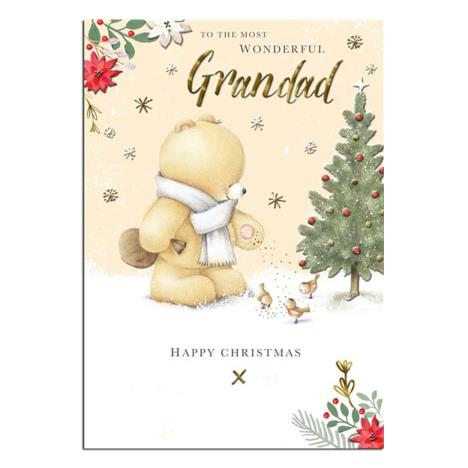 Wonderful Grandad Forever Friends Christmas Card 